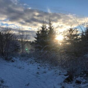 Auf dem Gipfel des Berges im Winter mit einer schönen Aussicht, wenn die Sonne durch die Bäume scheint.